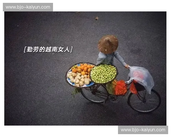 战火与玫瑰：探寻越南与缅甸的别样风情