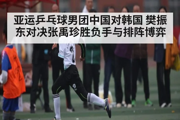 亚运乒乓球男团中国对韩国 樊振东对决张禹珍胜负手与排阵博弈 - kaiyun